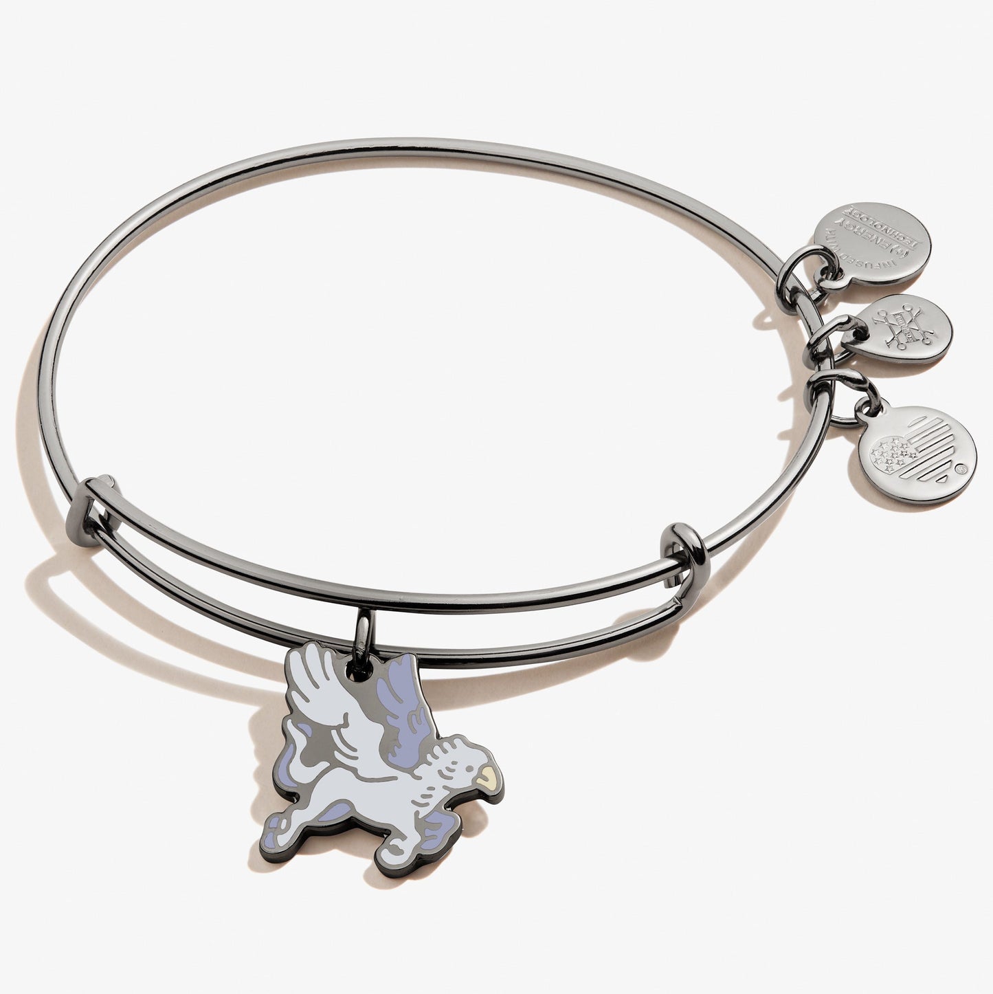 Harry Potterâ„?Buckbeak Charm Bangle