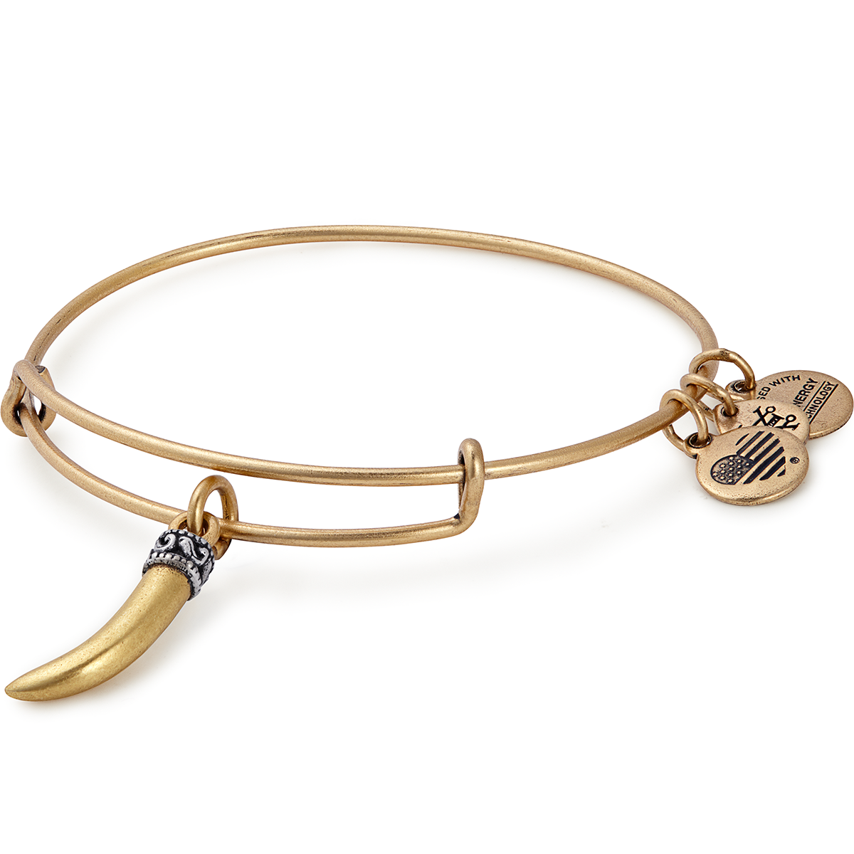Horn Charm Bangle