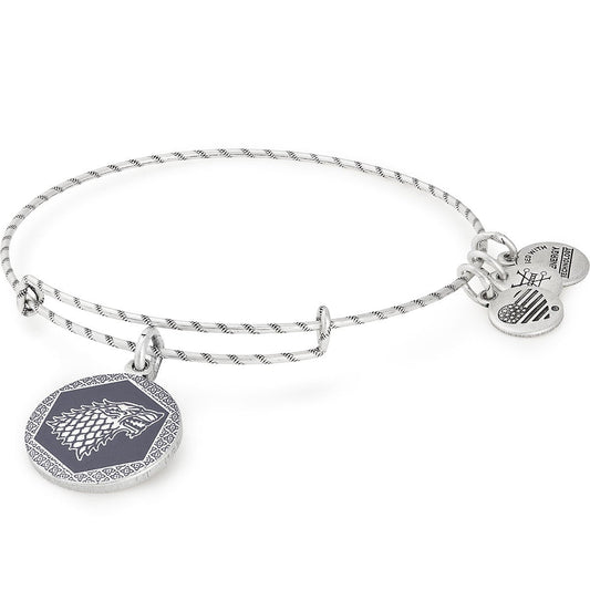 Game of Thronesâ„?Winter is Coming Charm Bangle