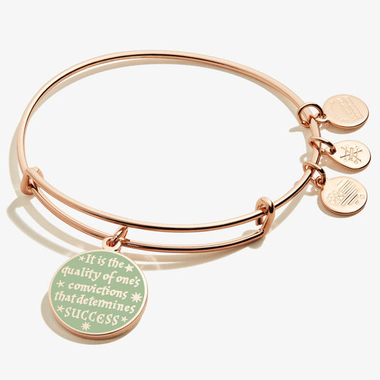Harry Potterâ„?'Quality of Convictions' Charm Bangle