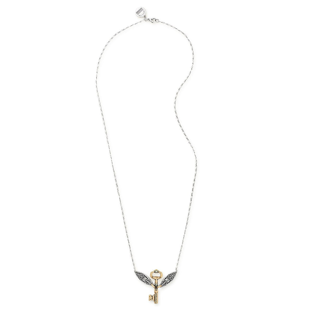 Harry Potterâ„?Alohomora Necklace