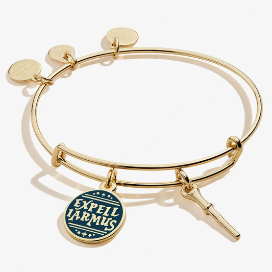 Harry Potterâ„?Expelliarmus Duo Charm Bangle