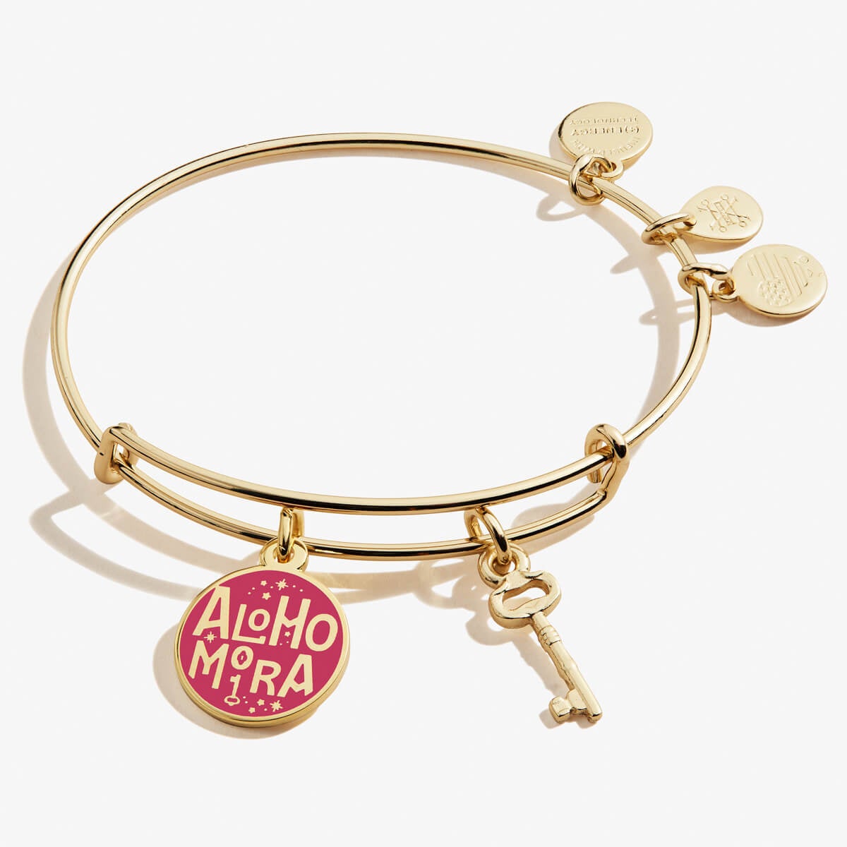 Harry Potterâ„?Alohomora Duo Charm Bangle