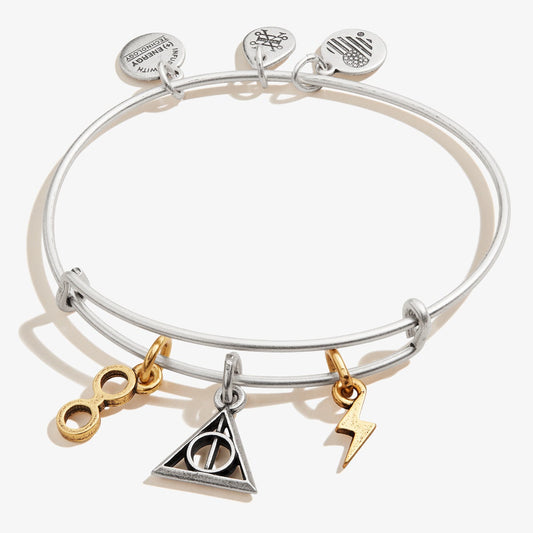 Harry Potterâ„?Deathly Hallows Multi-Charm Bangle
