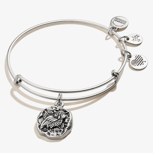 Owl of Athena Molten Coin Charm Bangle