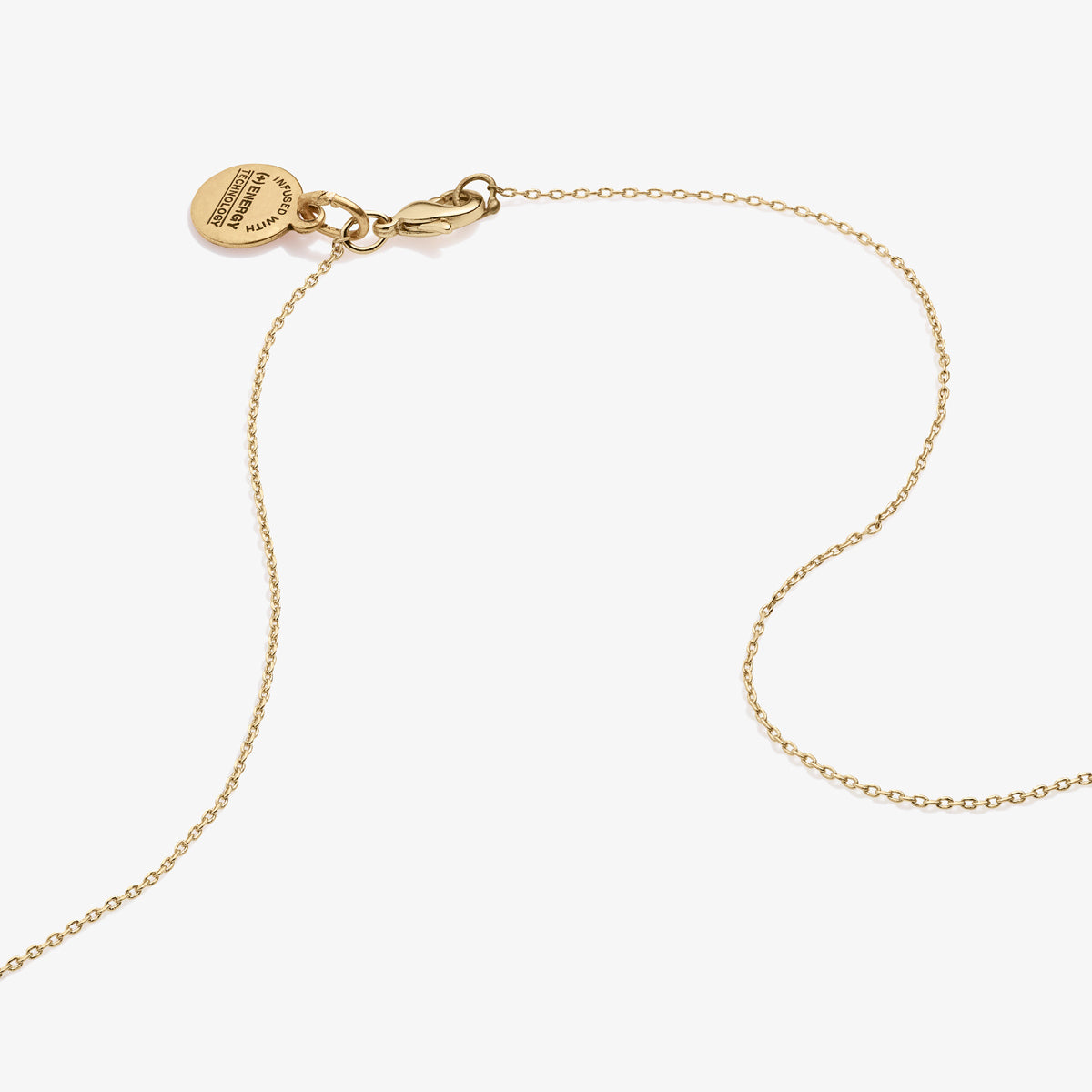 Path of Life® Charm + Red Jasper Necklace