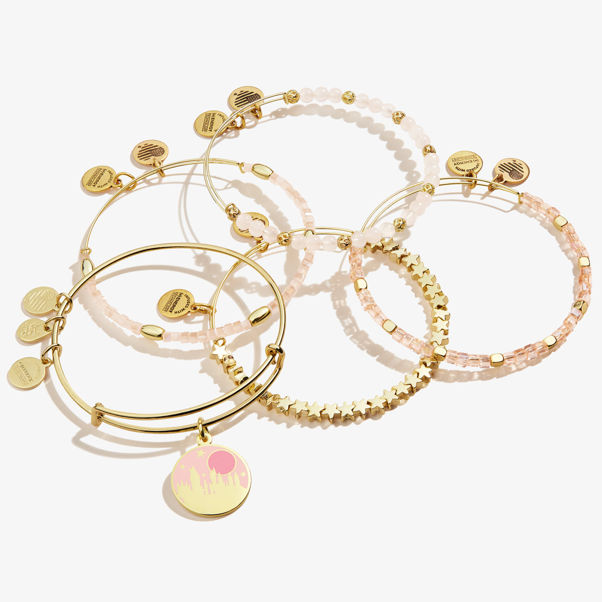 Harry Potterâ„?Hogwarts School Charm Bangles, Set of 5