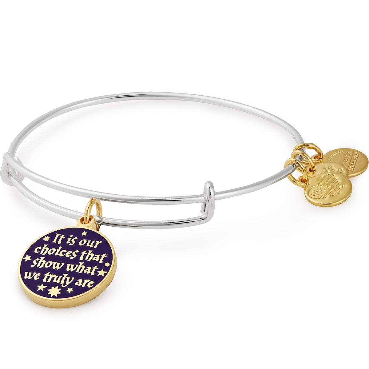 Harry Potterâ„?'It's Our Choices' Charm Bangle